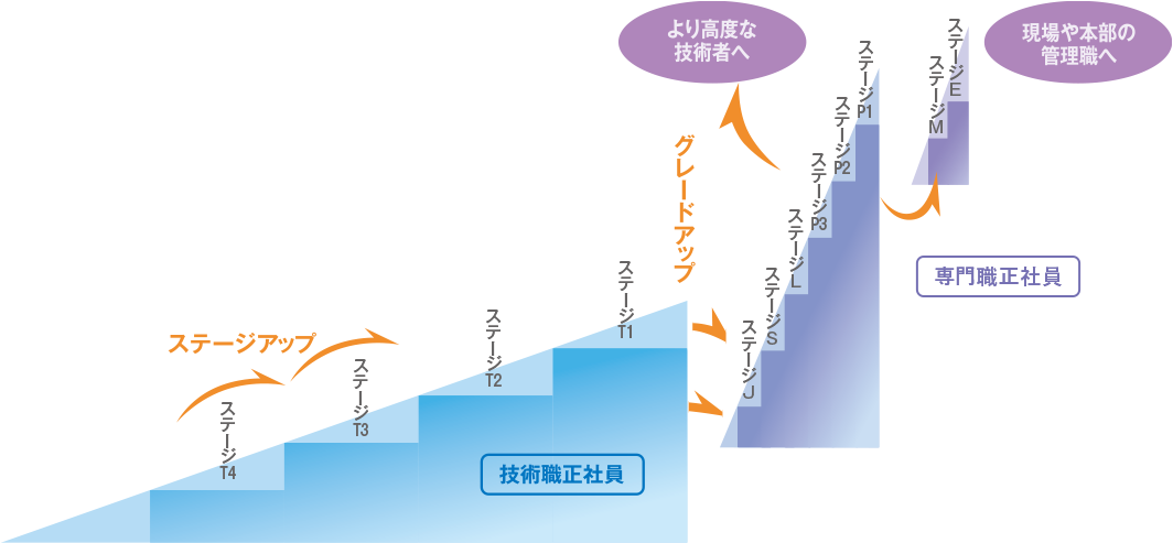 2種類の正社員とステージ別の処遇